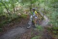 Raid Vtt Codep - La Landaise - 13-09-2015 - JL Vignoles (258) 